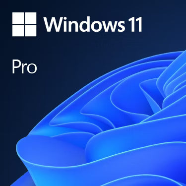 Windows 11 Professional Key